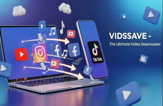 Download Videos Without Software: VidsSave Browser-Based Downloader